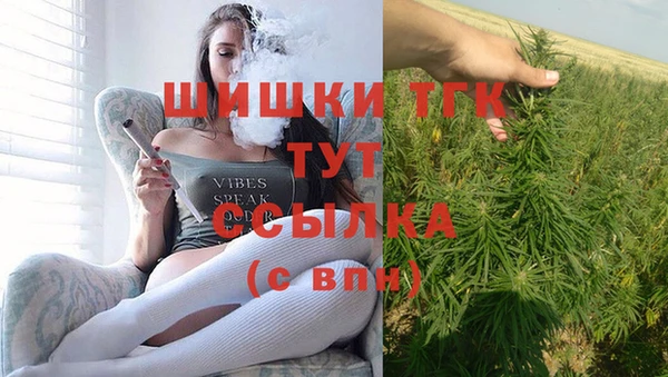 ECSTASY Богородицк