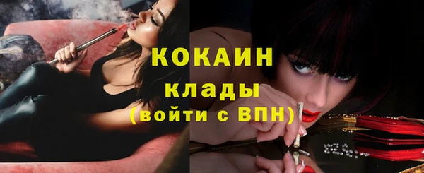 таблы Богданович