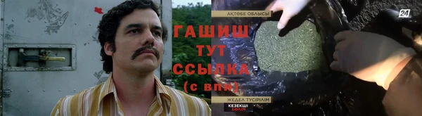 ECSTASY Богородицк