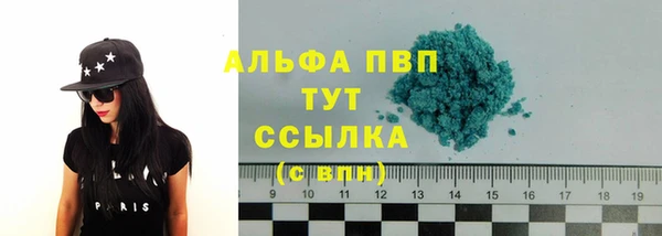 ECSTASY Богородицк