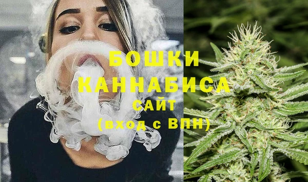 ECSTASY Богородицк