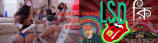 таблы Богданович