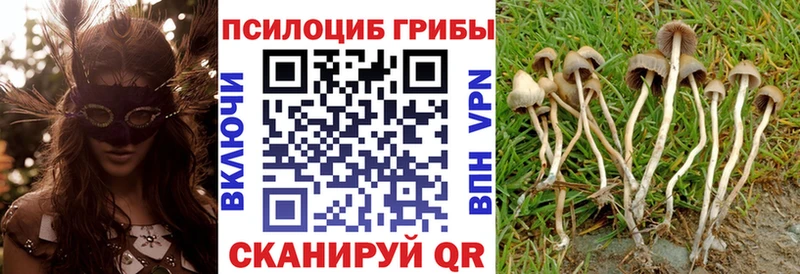 Псилоцибиновые грибы MAGIC MUSHROOMS  Купить где  Анапа 